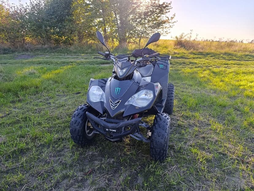 Čtyřkolka Eton vector 300