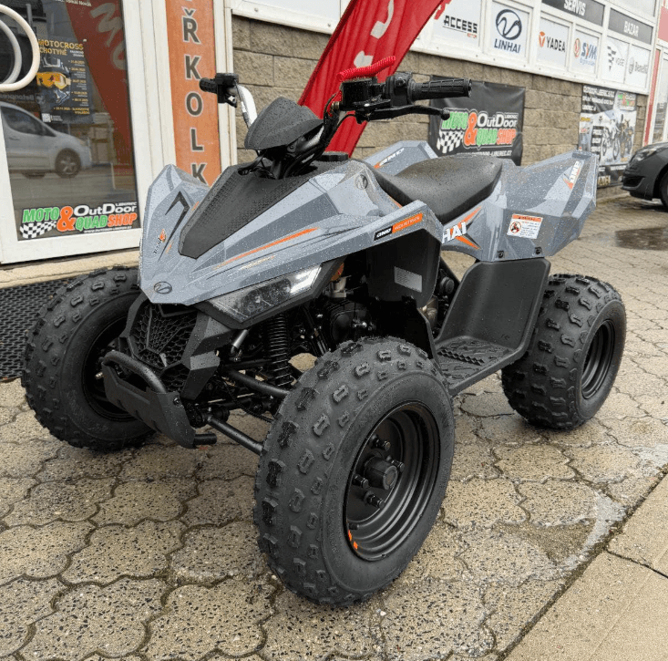 Linhai Dětská čtyřkolka ATV 110 Junior