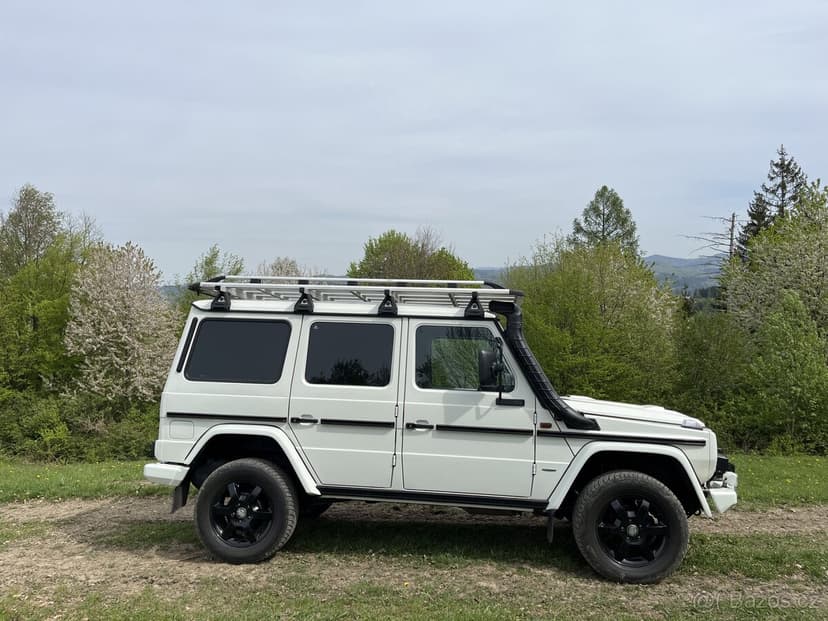 Mercedes Benz G 300 cdi Professional