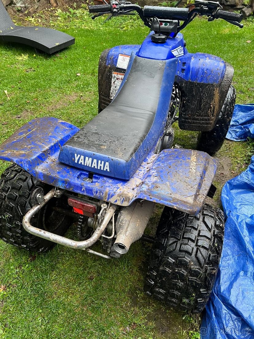 Yamaha Warrior 350