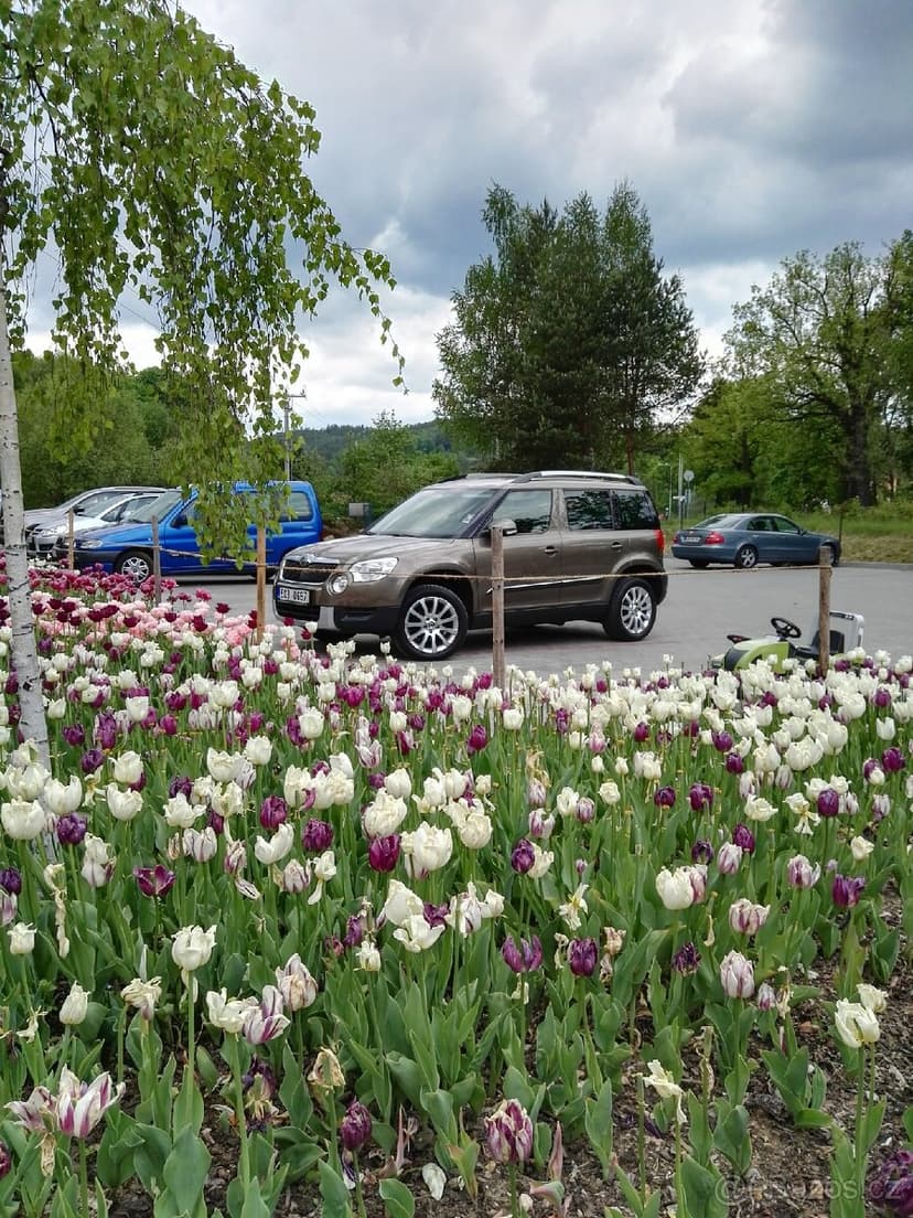 ŠKODA Yeti 2.0 tdi 81kw 4x4 Construct