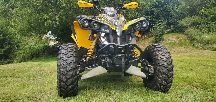 Can am renegade 500