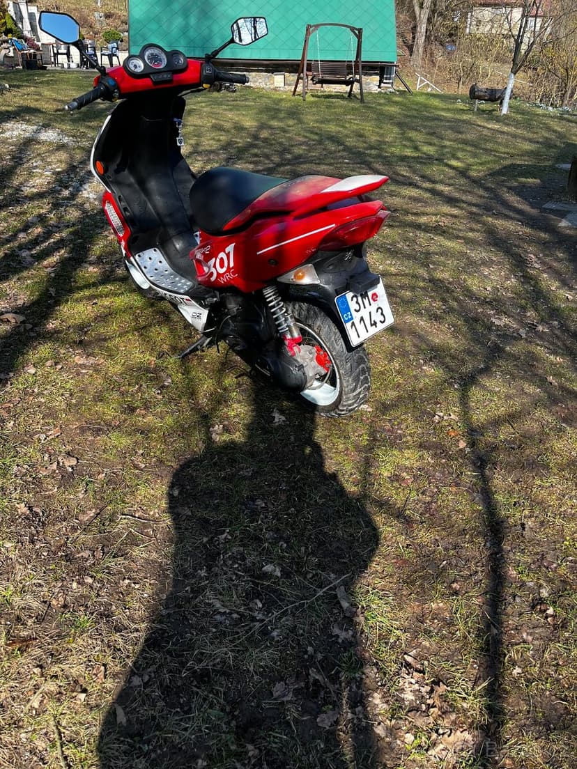 PEUGEOT Speedfight 2 WRC 307