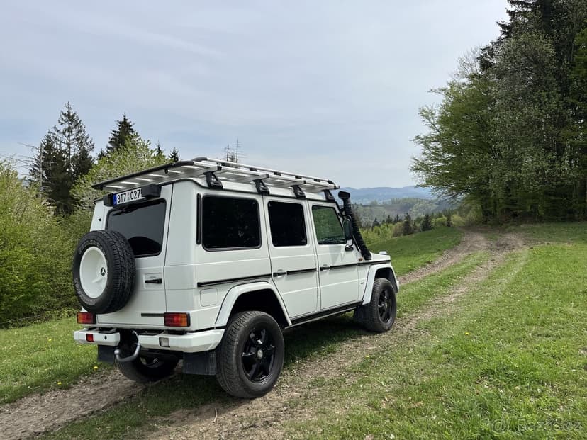 Mercedes Benz G 300 cdi Professional