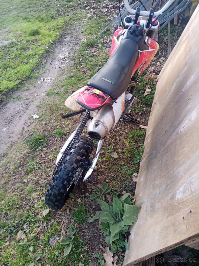 Pitbike champs 125ccm