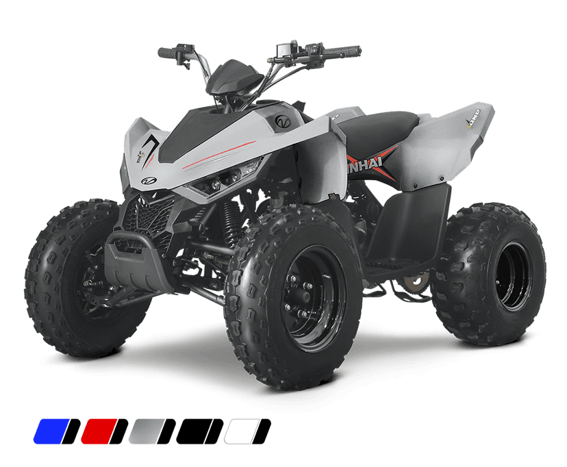 dětská čtyřkolka Linhai ATV 110 2x4