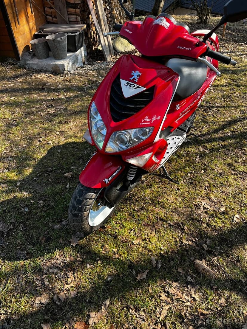 PEUGEOT Speedfight 2 WRC 307