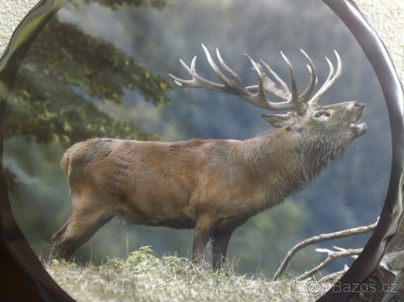 nissan - kryt na rezervu kolesa