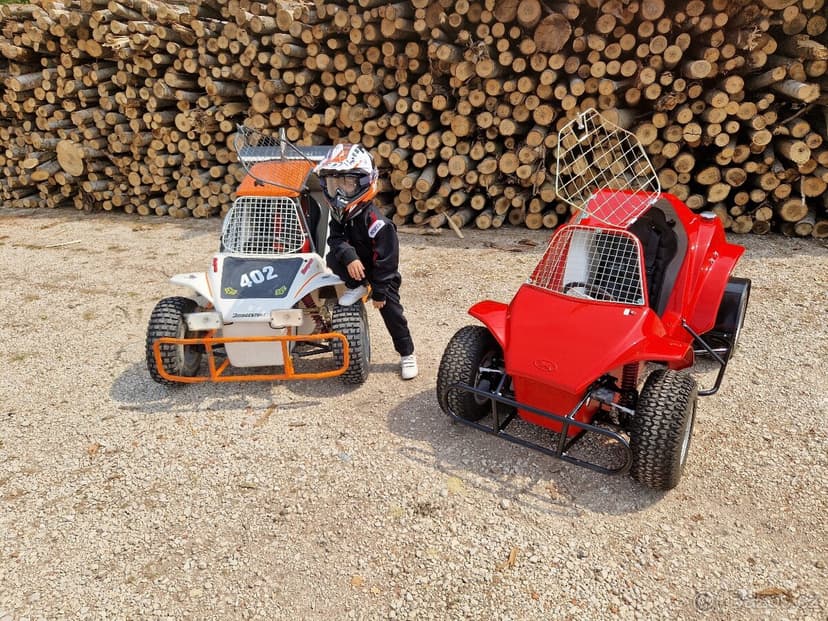 Havel Buggy 170