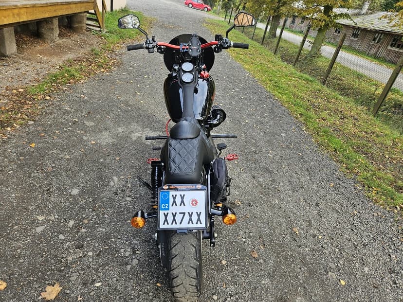 HARLEY DAVIDSON DYNA LOWRIDER S110 ScreamingeagleFXDLS2016