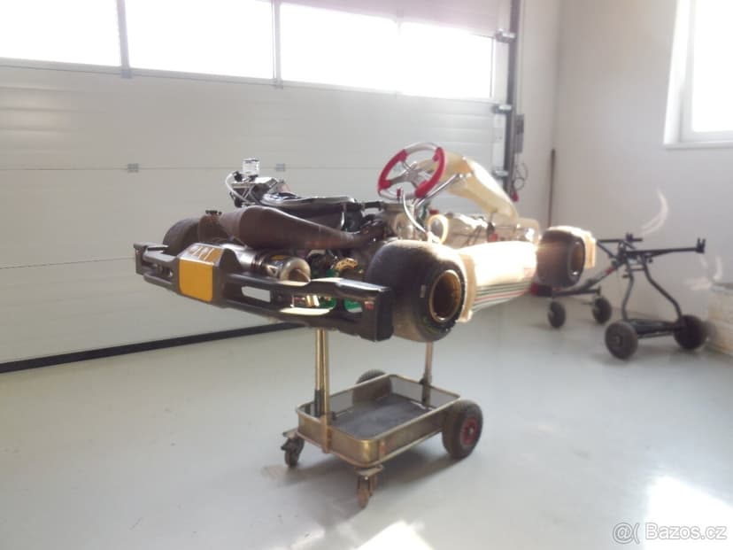 Vymením (predám) Motokáru Tony Kart KZ TM R1