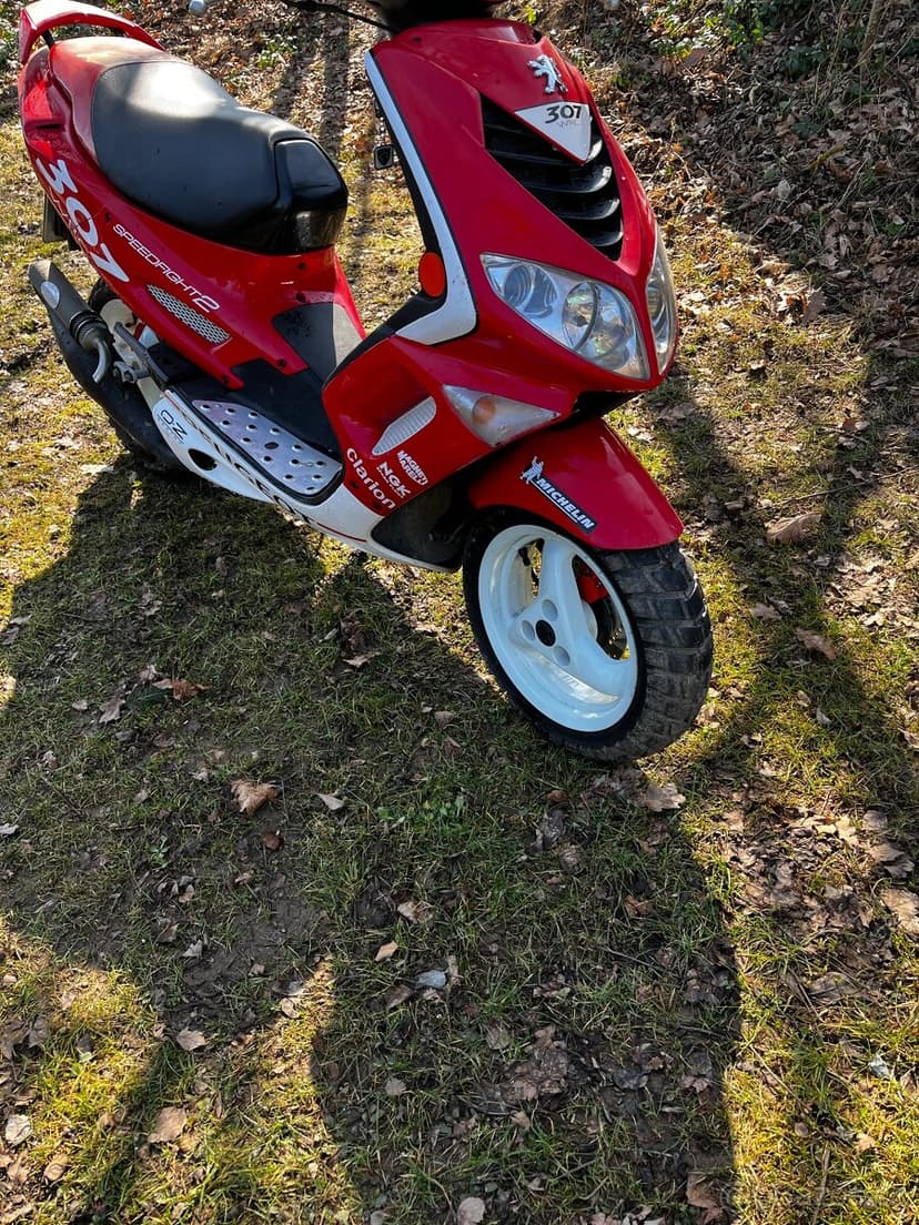 PEUGEOT Speedfight 2 WRC 307