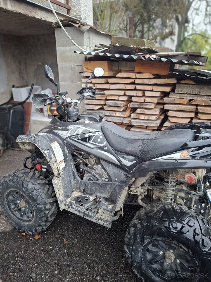 Ṣ̌tvorkolku - Taiwan Golden Bee - 4x4