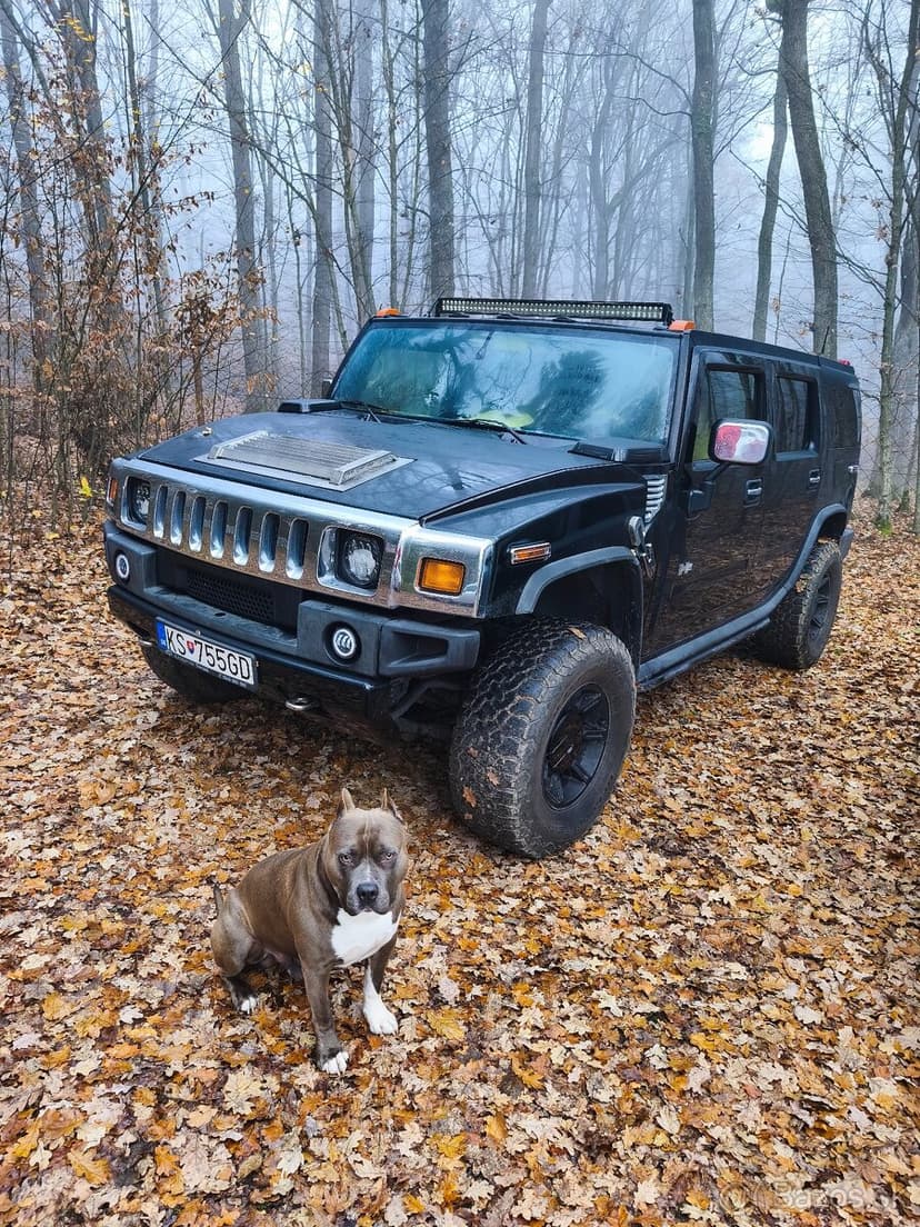 Predám / vymením HUMMER H2