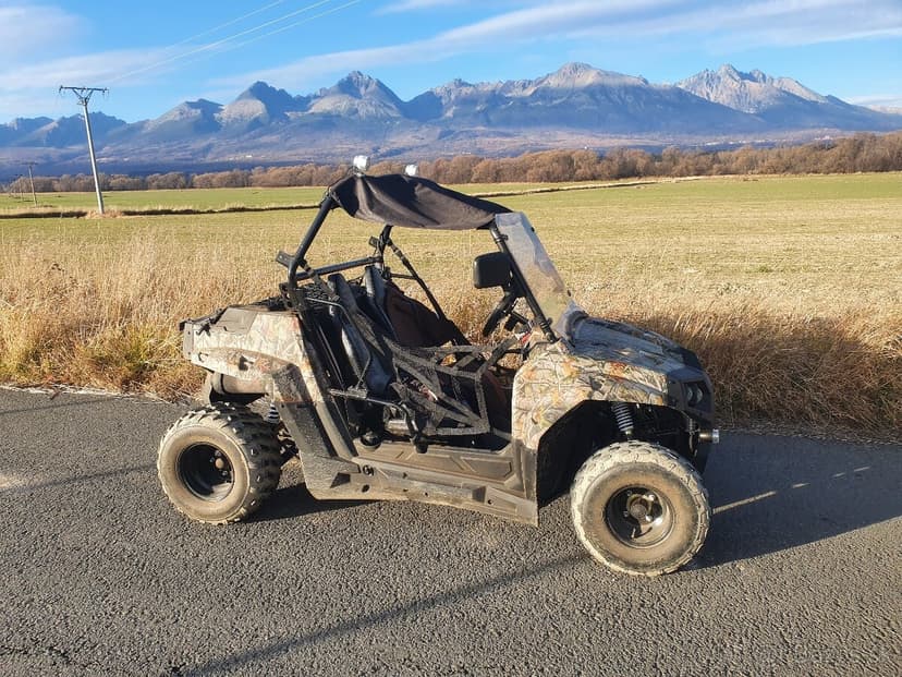 Bugina ODES All terrain UTV 150 camouflage
