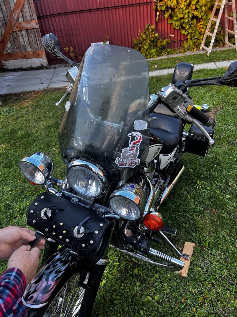 Suzuki Minesota Twin 600