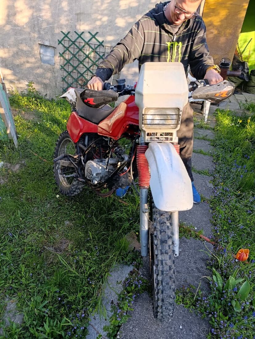 Cagiva elephant