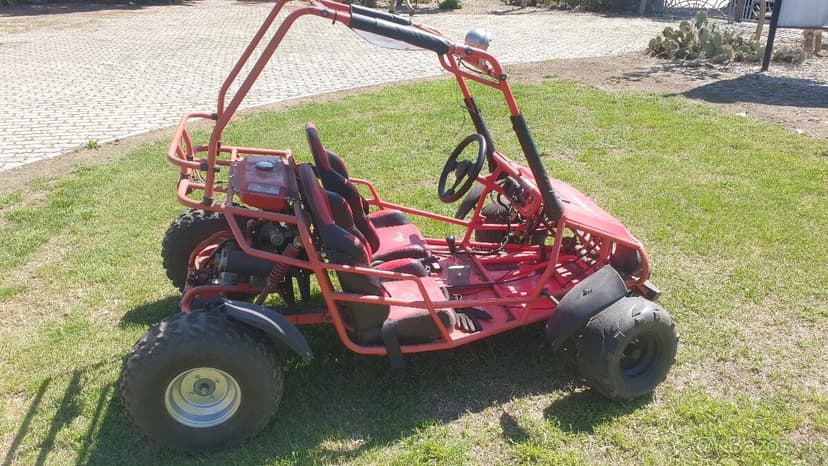 Predam Buggy 110cm3