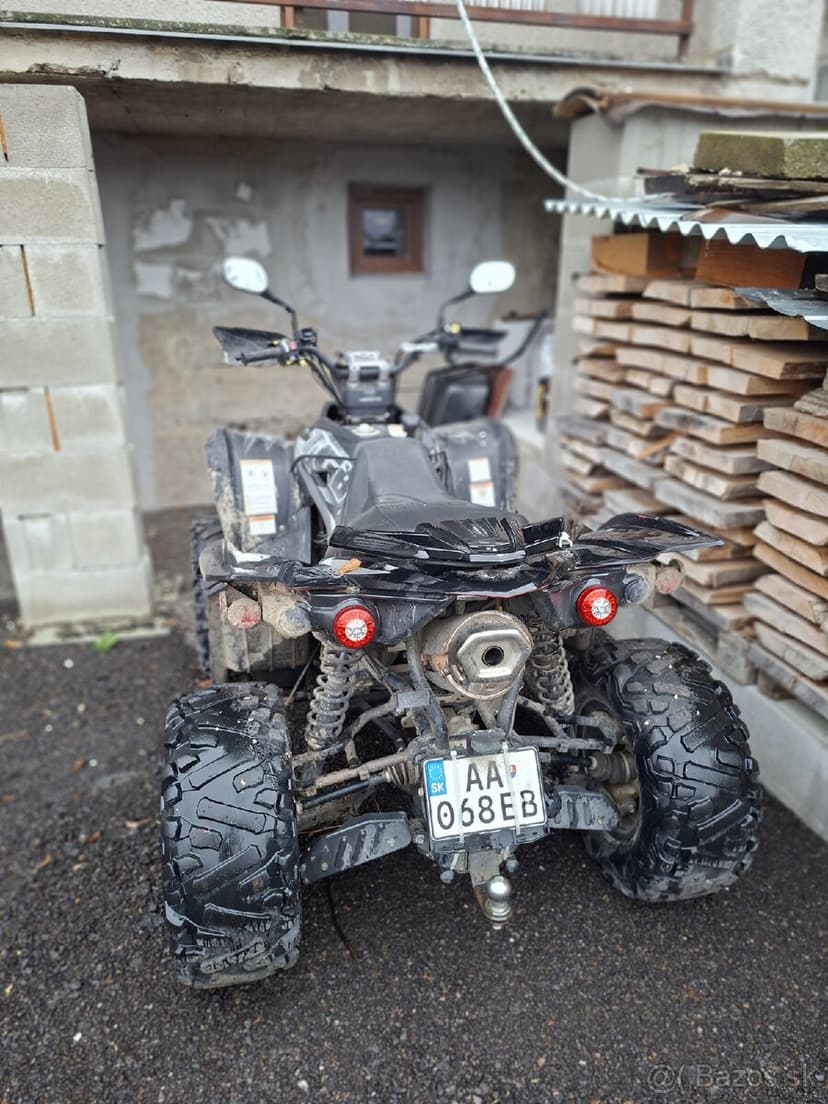 Ṣ̌tvorkolku - Taiwan Golden Bee - 4x4