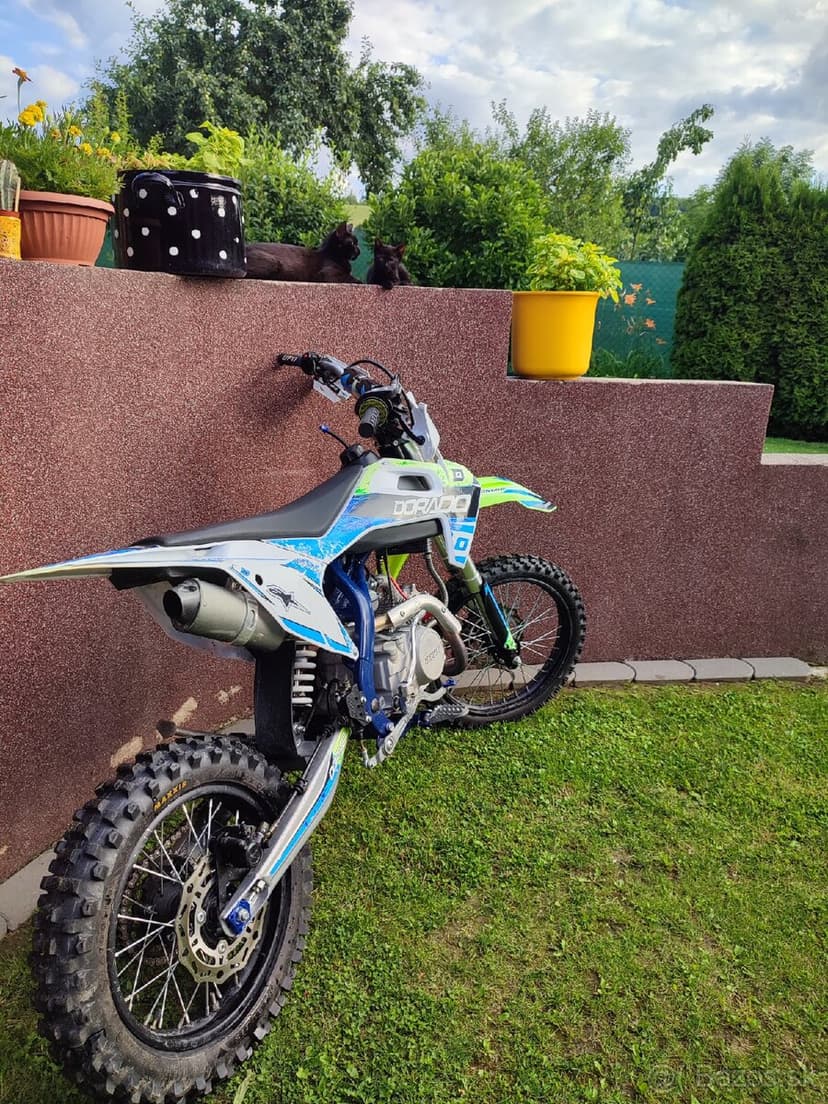 Pitbike Dorado DT 140