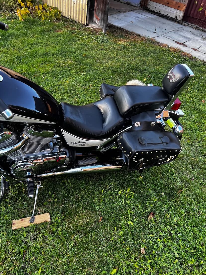 Suzuki Minesota Twin 600