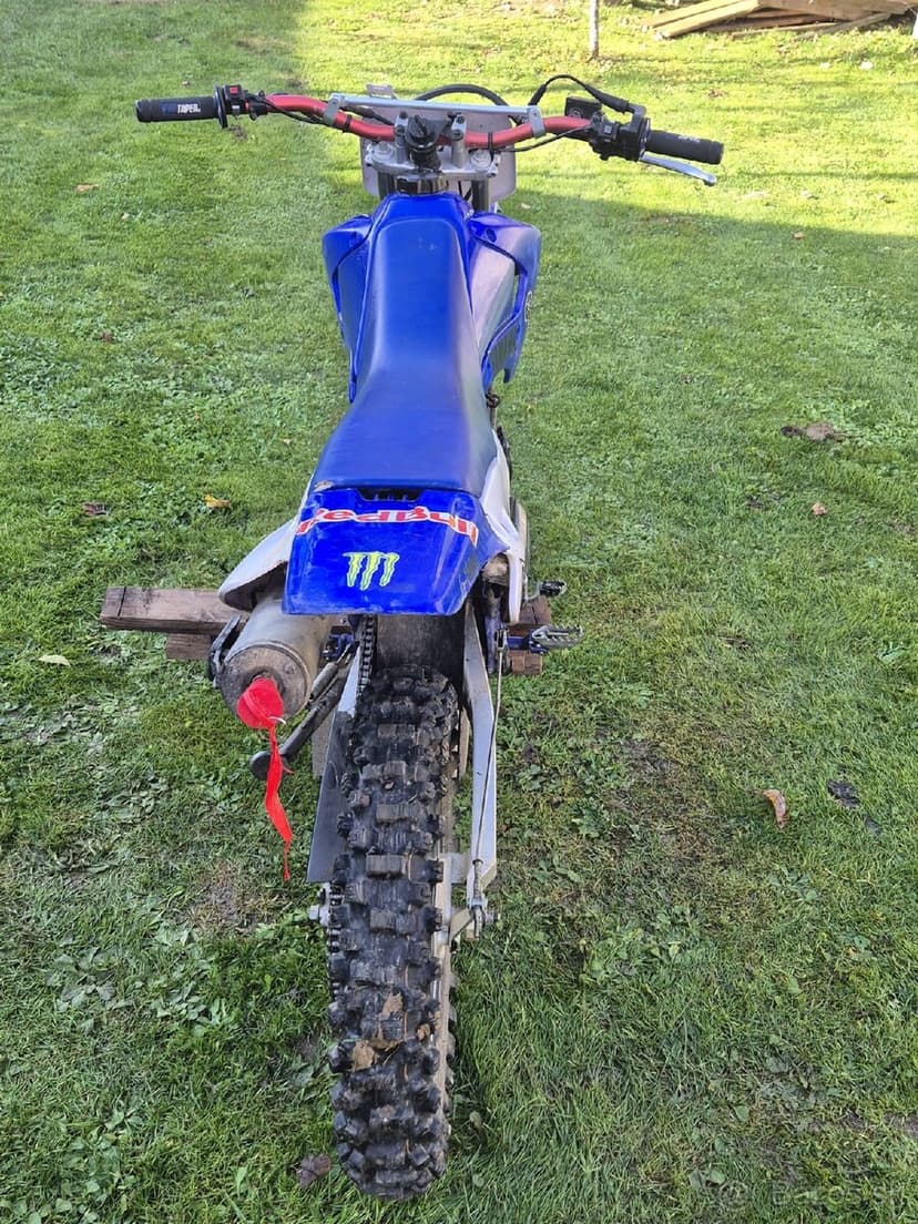 Yamaha ttr 125