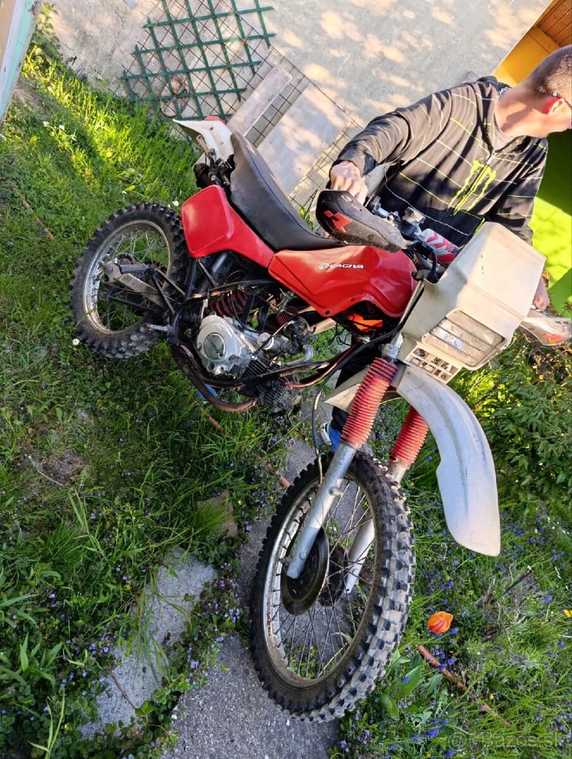 Cagiva elephant