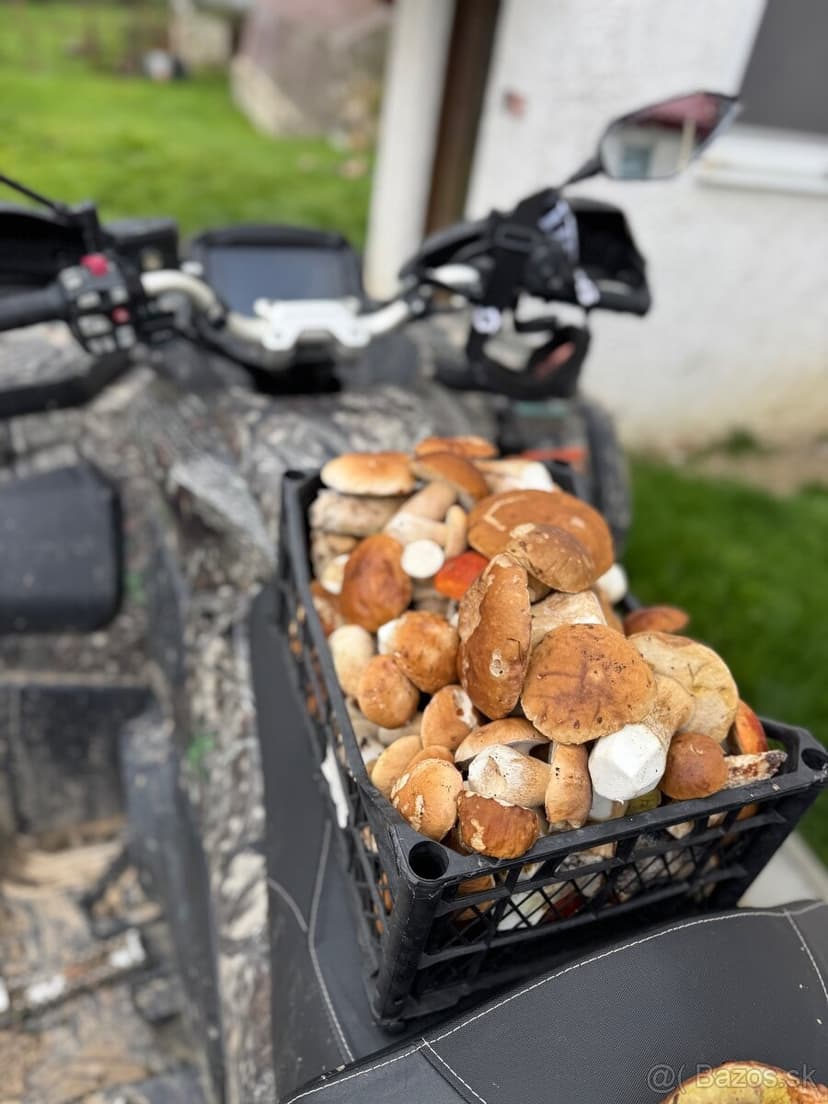 CF moto gladiator 850 G3