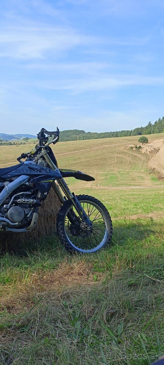 Suzuki rmz 250
