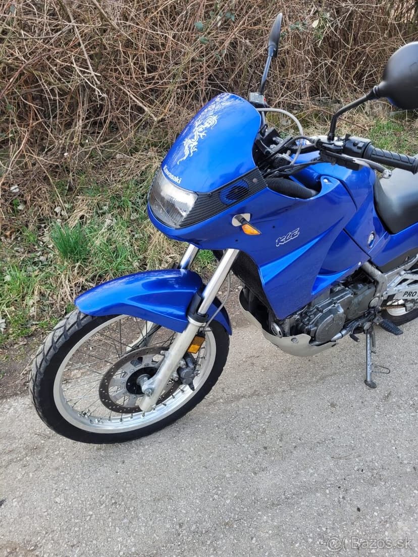 Kawasaki kle 500