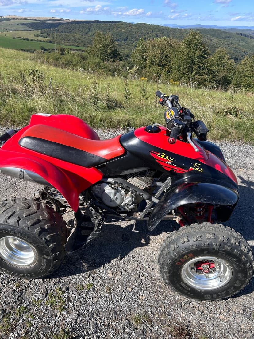 Honda TRX 300ex 2002