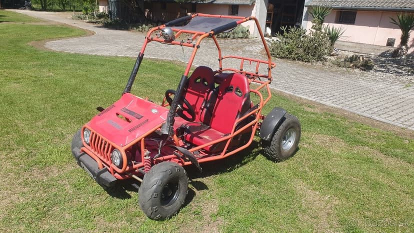 Predam Buggy 110cm3
