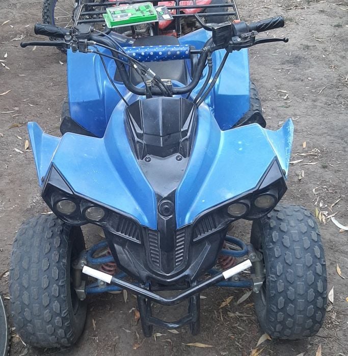 Vând sau schimb cu mașina sau porc