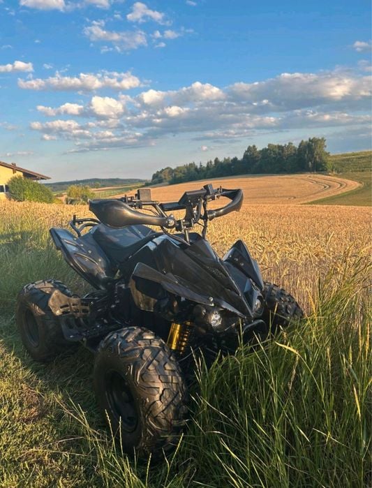 Atv electric 1100€