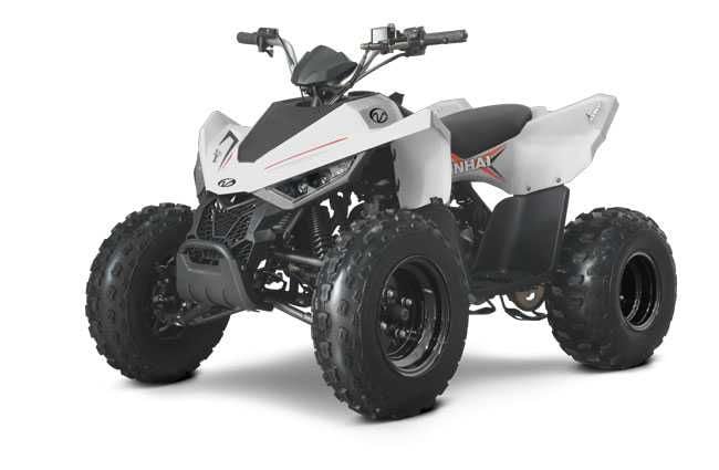 ATV Copii Linhai 110 EFI 2X4 2025 | Rate