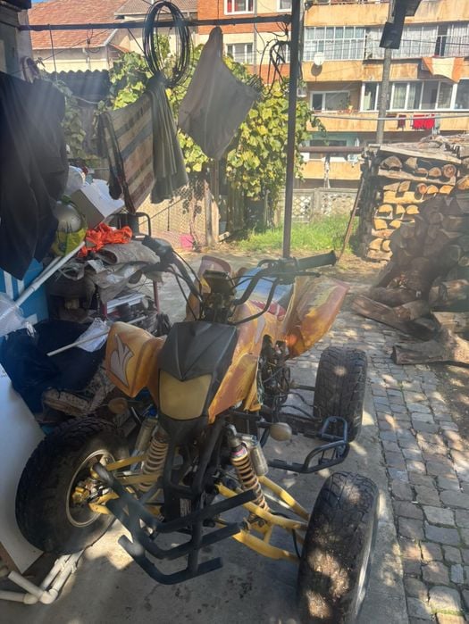 Bashan 250 4 timpi pe lant