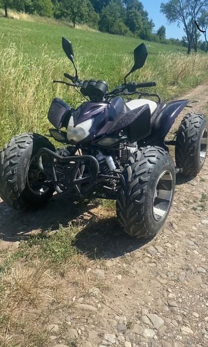 Vand Atv bashan 250