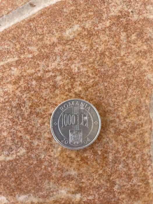 Moneda 1000 lei din 2004
