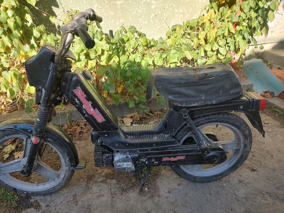 Vans moped malaguti