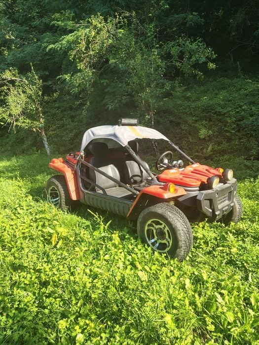 Vând Buggy/atv 450