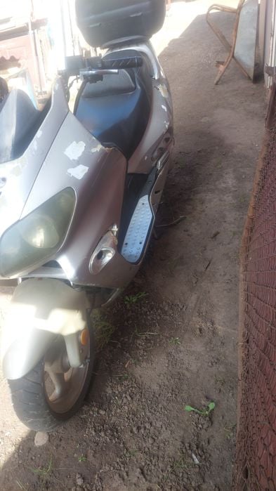 Scuter 250 ,  poate fi inscris