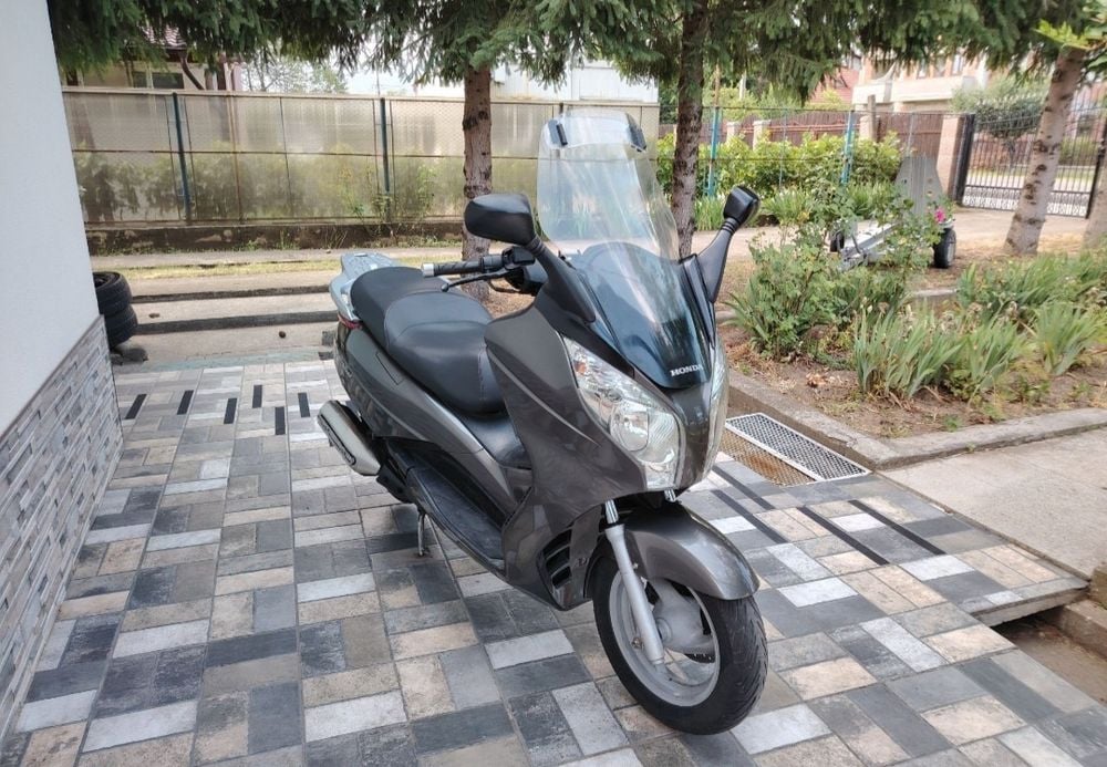 Vand Maxi Scuter 125CM