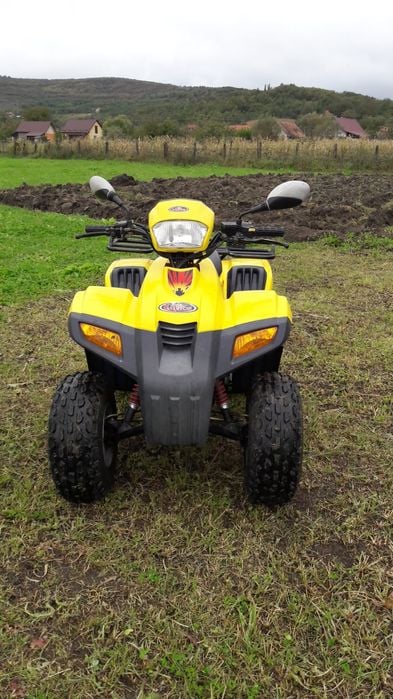 Vand atv DINLI 110cc