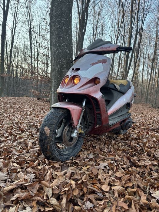 Malaguti f12 phantom