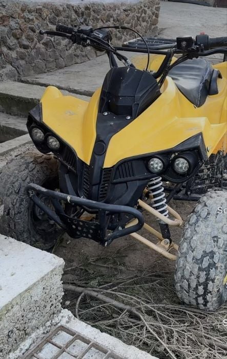 Vand atv renegate 125