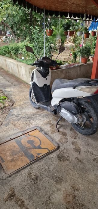 Scuter  de  vânzare