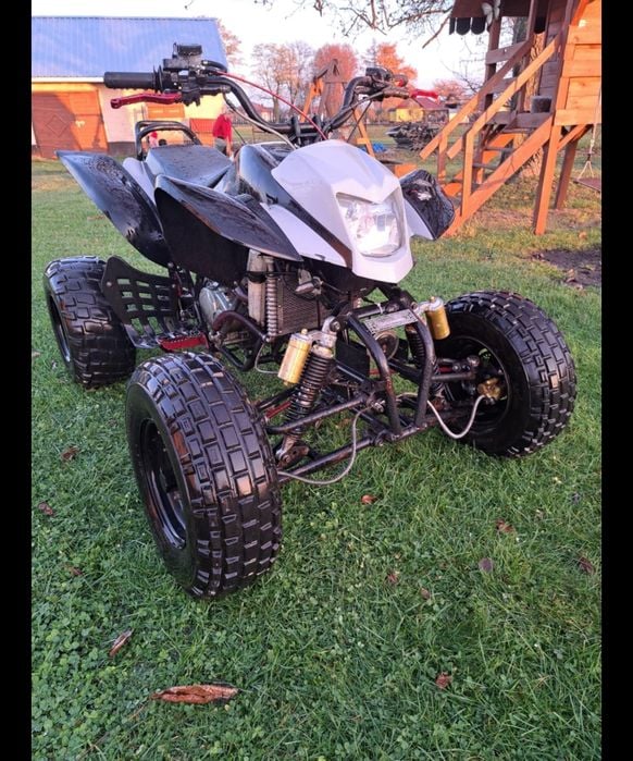 Bashan 250 ciecz Oplacony