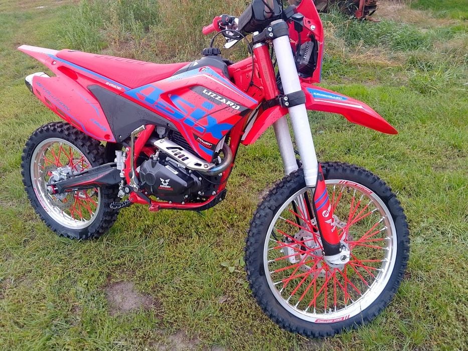 Asix Lizzard 300 cross