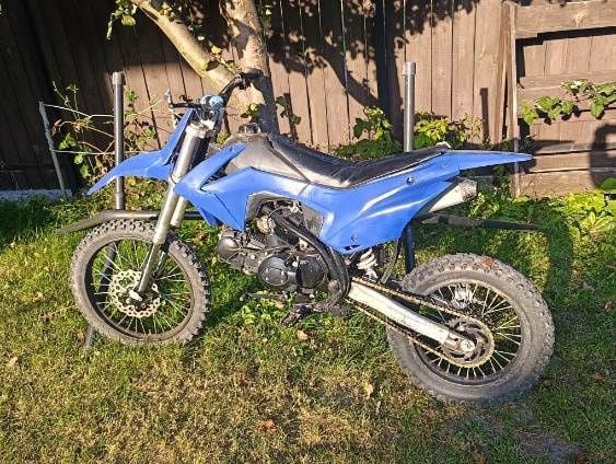 Sprzedam Crossa diabolinii