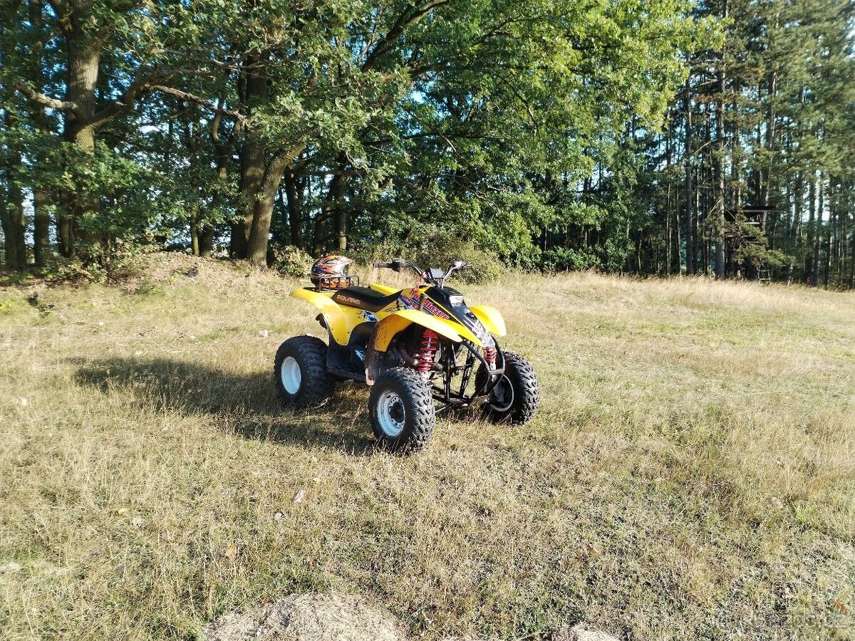 Polaris Trial Blazer 250 2t